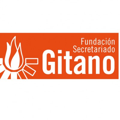 FSG Informe Anual online 2014