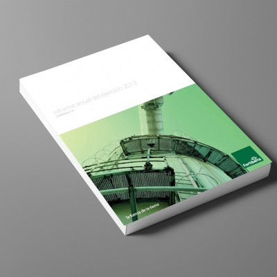 Fertiberia Informe Anual 2013